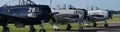 E_7606_0_600x600.jpg