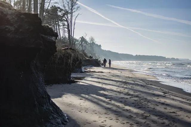 Wzorcowanie nieakredytowane metalowego wzorca twardości Shore'a + świadectwo wzorcowania