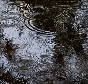 Wzorcowanie akredytowane płytki interferencyjnej płaskiej dwustronnej + świadectwo wzorcowania CIA-ILAC MRA