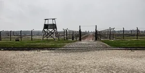 Frezy VHM 2-ostrzowe krótkie niepowlekane uniwersalne E.7606.0