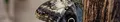 E_7601_0_600x600.jpeg