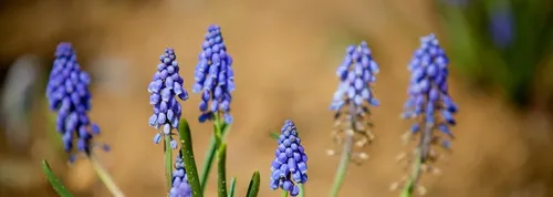 190140509.jpg