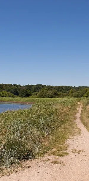 Wysokościomierz traserski suwmiarkowy noniuszowy,  0-500 mm, LIMIT 